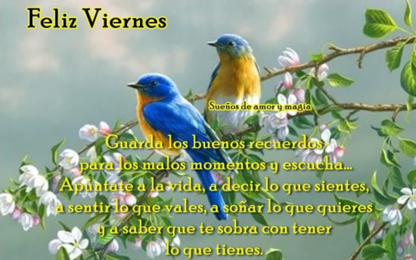 frases de buenos dias feliz viernes