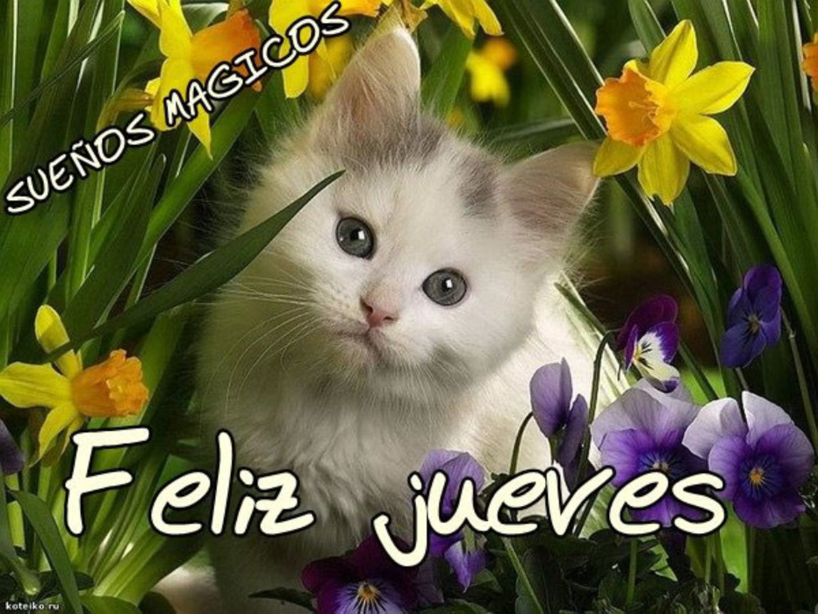 Feliz Jueves Buen Día 66 - BonitasImagenes.net