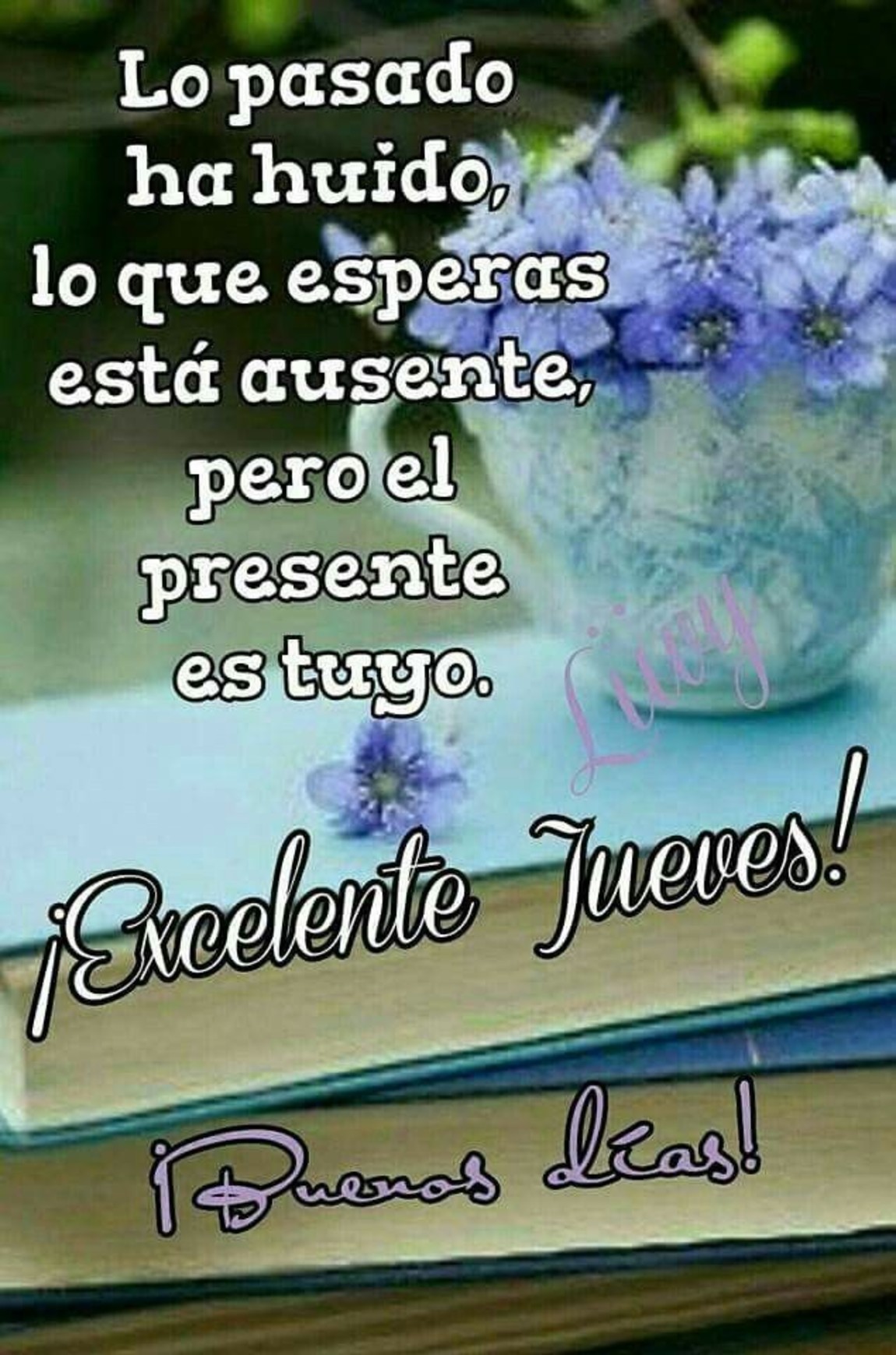 Feliz Jueves Buenos Días tarjetas gratis 261 - BonitasImagenes.net