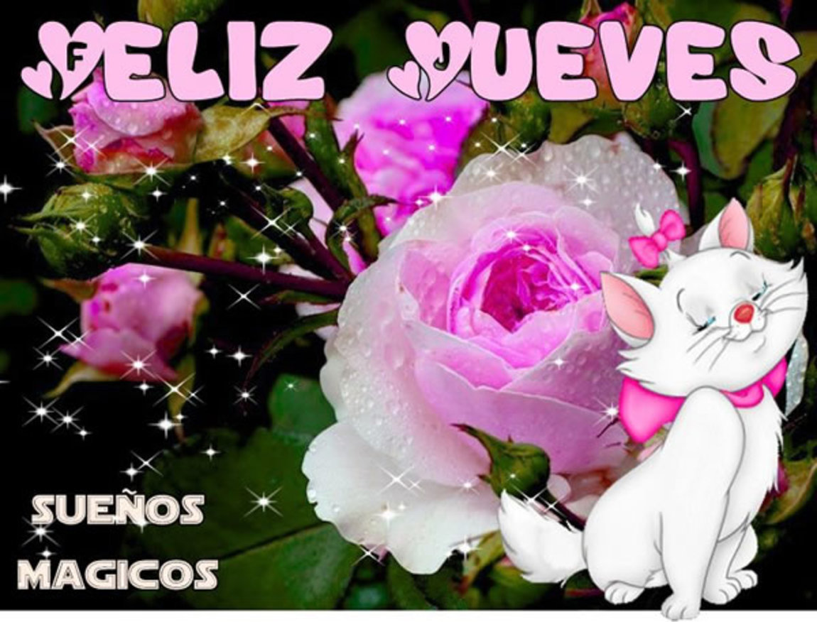 Feliz Jueves con flores bellas imágenes 49 - BonitasImagenes.net