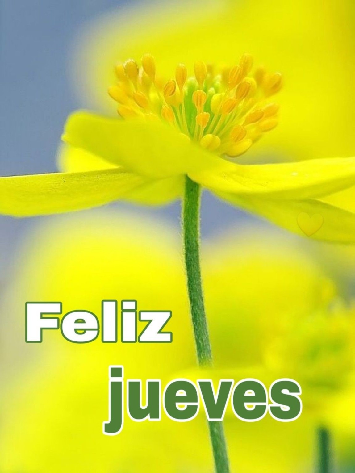 ❝ ╚═══ LA PALABRA , DEL   "JUEVES"  6/16 ═══╝ ❞ Feliz-Jueves-im%C3%A1genes-hermosas-22