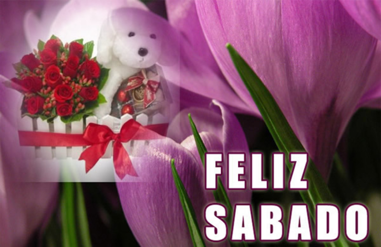 Картинки feliz sabado