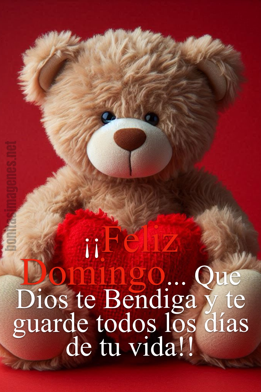 ¡¡Feliz Domingo... Que Dios te Bendiga y te guarde todos los días de tu vida!!