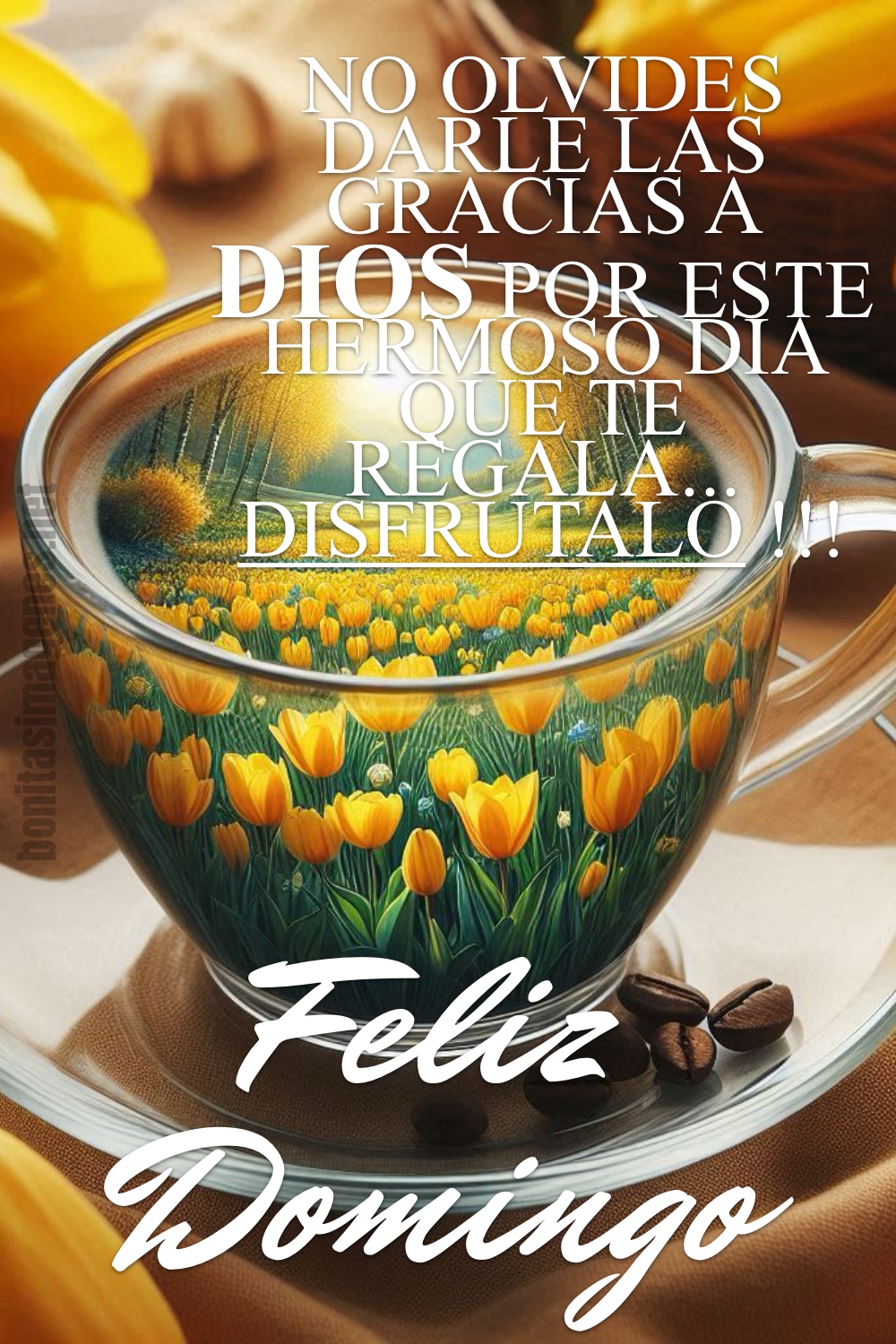 No olvides darle las gracias a Dios por este hermoso día que te regala... disfrutalo!!! Feliz Domingo