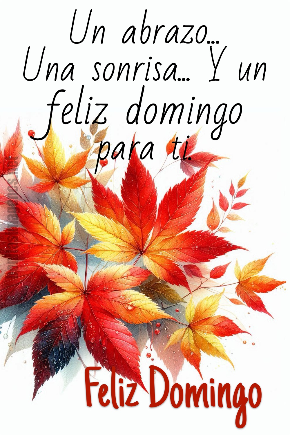 Un abrazo... Una sonrisa... Y un feliz domingo para ti... Feliz Domingo