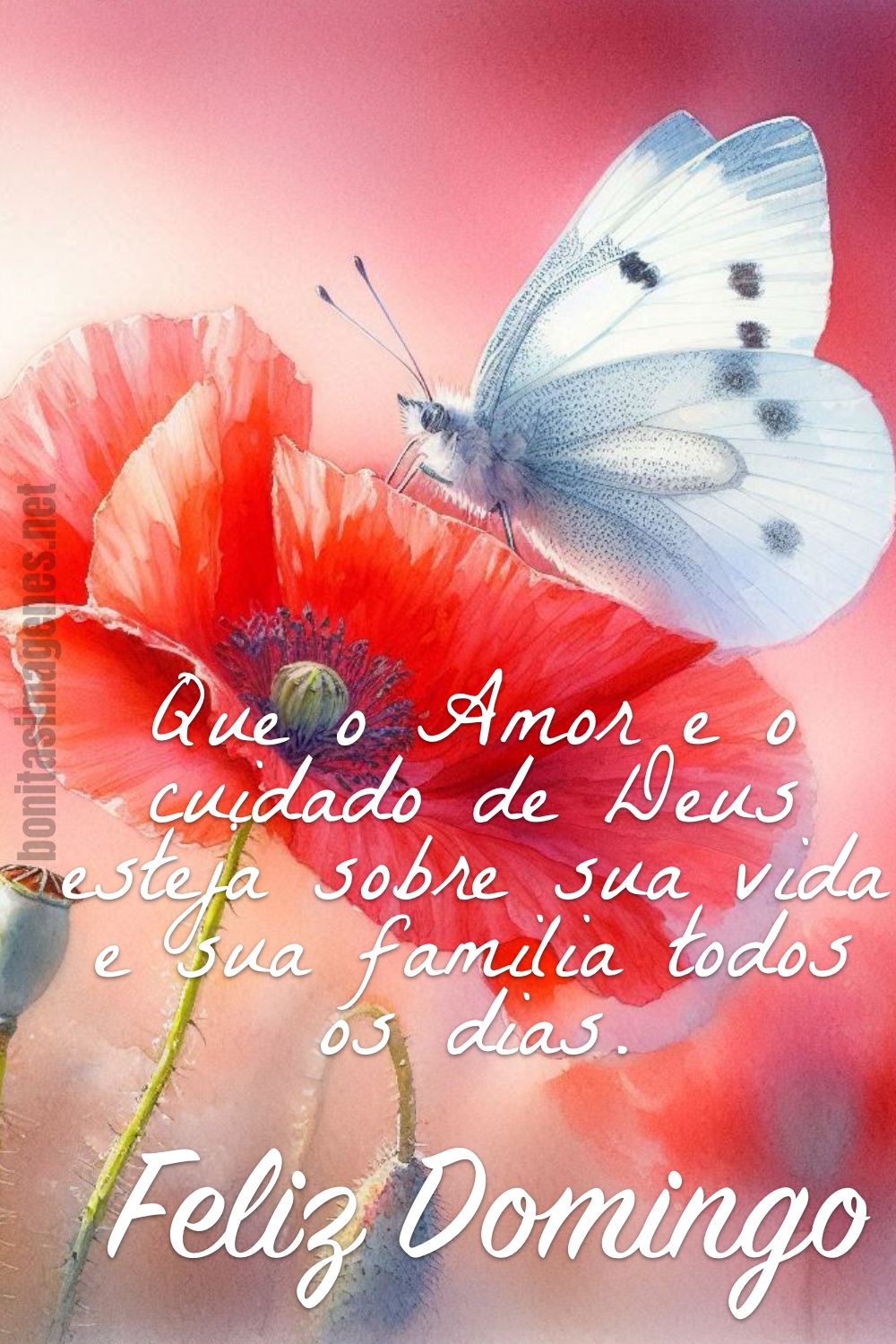 Que o Amor e o cuidado de Deus esteja sobre sua vida e sua familia todos os dias. Feliz Domingo