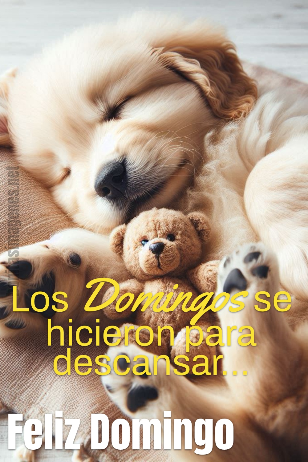 Los Domingos se hicieron para descansar. Feliz Domingo